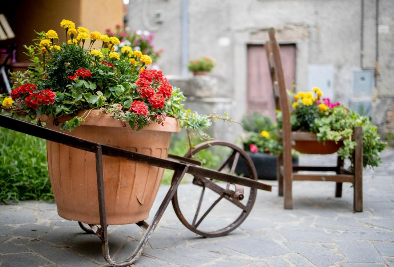 Hotel Dimora Turistica De' Piazza Roccalvecce Exterior foto